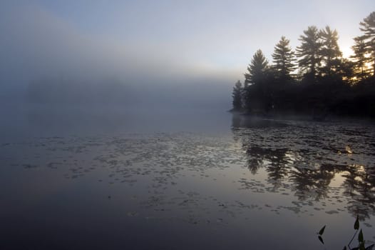 Fog above forest lake in Killarney Park in the morning