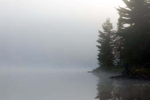 Fog above forest lake in Killarney Park in the morning