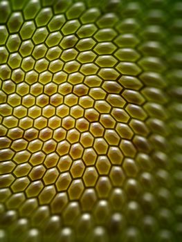 An image of a nice abstract honey comb background