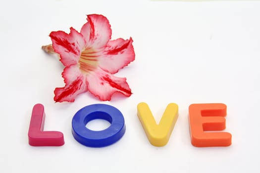 Word LOVE made from Plastic isolated over white background