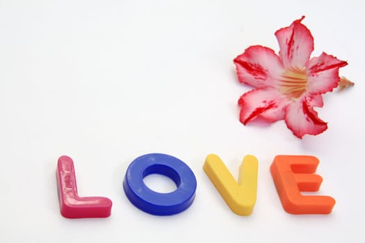 Word LOVE made from Plastic isolated over white background