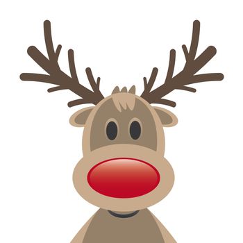 rudolph reindeer red nose on white background