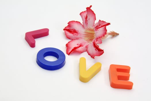 Word LOVE made from Plastic isolated over white background