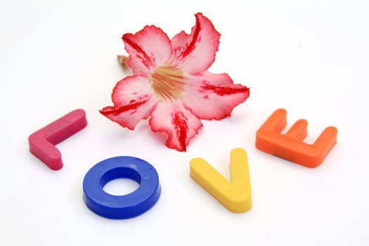 Word LOVE made from Plastic isolated over white background