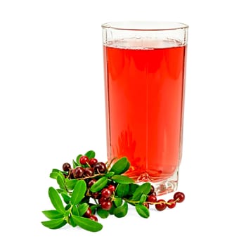 Cowberry juice in a tall glass, a bunch of twigs cowberry with green leaves and berries isolated on white background