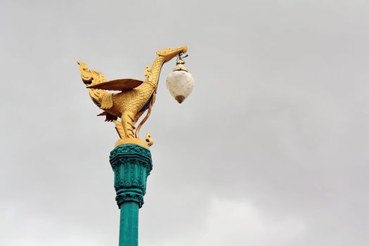 Electricity post a bird