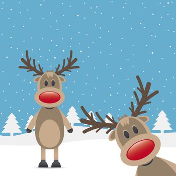 two rudolph reindeer red nose snow falls