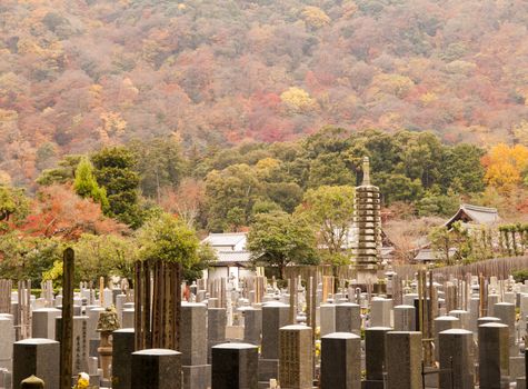 Japanese graveyard in autumn, Kyoto, Japan.