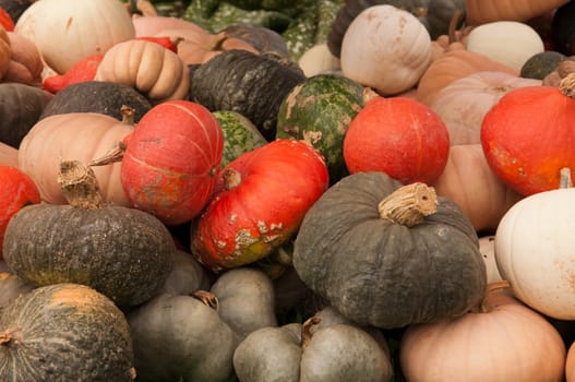 A pile of gourds are ready for sale.