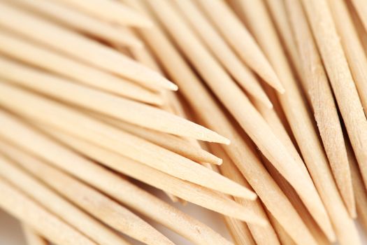 toothpick macro close up