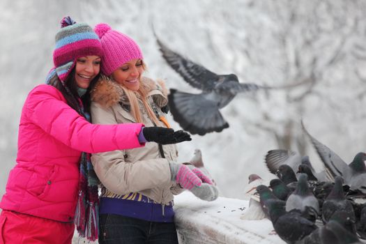 winter women give food to the pigeon