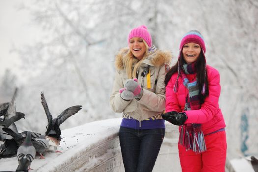 winter women give food to the pigeon