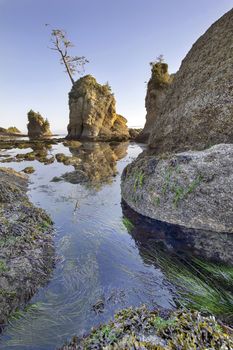 Pig and Sows Inlet Rock in Garibaldi Oregon Coast Tillamook Bay at Low Tide Vertical