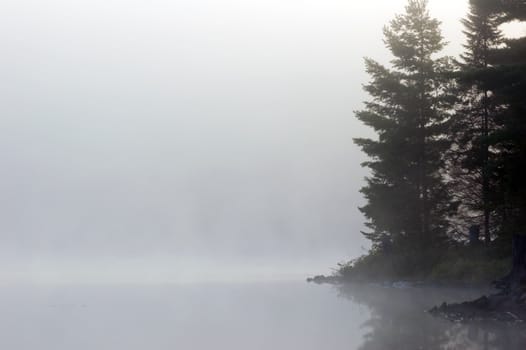 Fog above forest lake in Killarney Park in the morning