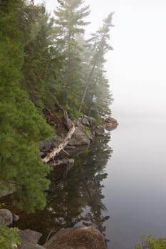 Fog above forest lake in Killarney Park in the morning