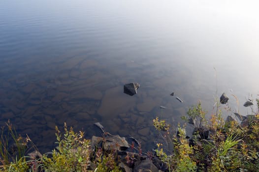 Shore of forest lake in Killarney Park in the morning