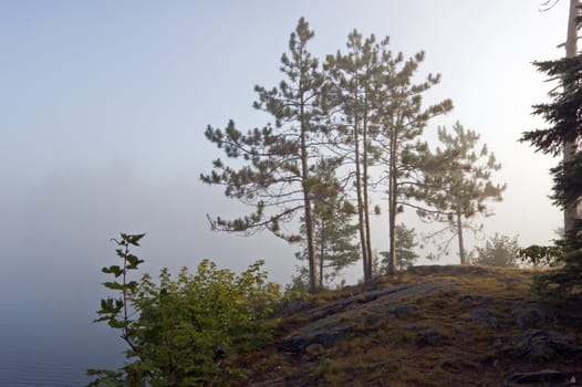 Fog above forest lake in Killarney Park in the morning