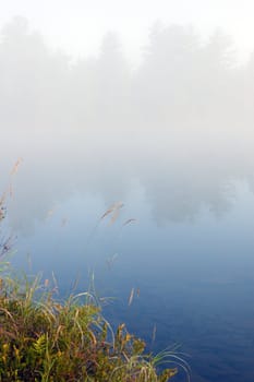 Green grass on the shore of the lake in the erly morning