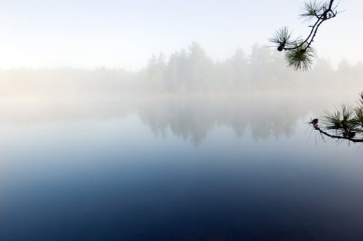 Fog above forest lake in Killarney Park in the morning