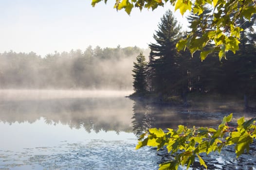Fog above forest lake in Killarney Park in the morning