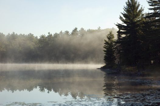 Fog above forest lake in Killarney Park in the morning