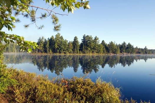 Lake in sunny pine forest in Killarney Park, Ontario