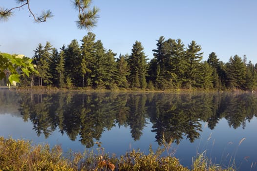 forest lake in Killarney Park in the morning