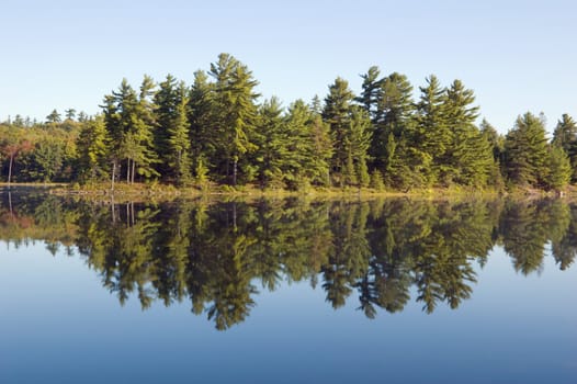 Lake in sunny pine forest in Killarney Park, Ontario