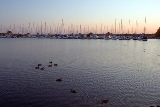 Yachts and boats in Toronto water front