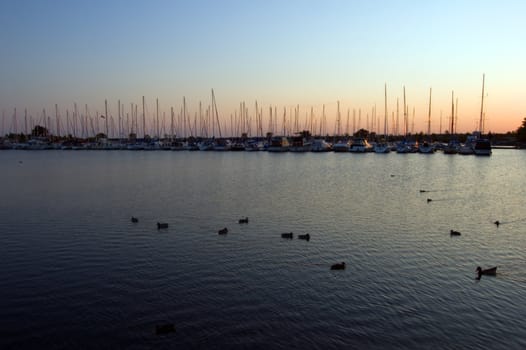 Yachts and boats in Toronto water front