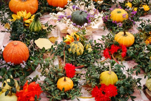 Pumpkins and flowers autumn scene