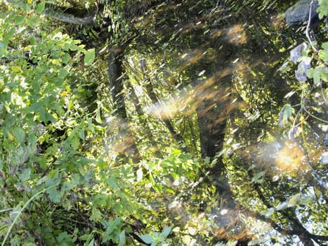 early autumn in the forest, reflection in the water stream