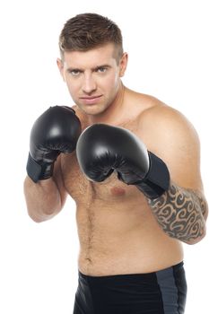 Young boxer concentrating on his opponent isolated over white