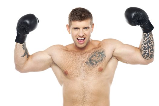 Attractive young boxer posing strongly with raised arms. Won fight