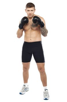 Full length portrait of isolated attractive boxer posing on white background