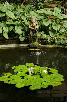 garden pond detail