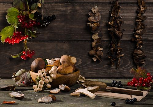 harvesting berries and mushrooms in the country in autumn