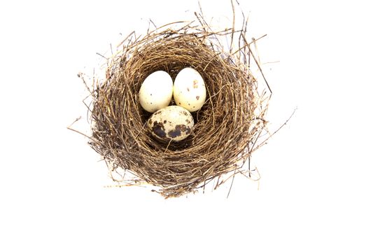 Gay white eggs in nest isolated on white background.