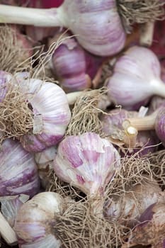Background of  large number of garlic. Image with shallow depth of field.