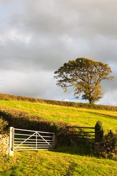 Typical landscape in Yorkshire Dales National Park, Great Britain