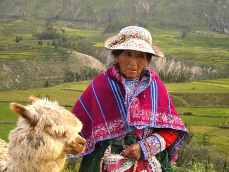 Old Incan Peruvian woman and her Alpaca