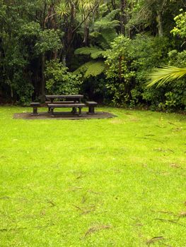 Lawn garden and bench close to the forest in New Zealand