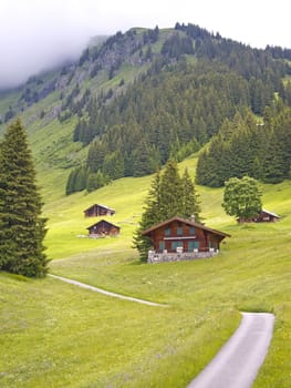Group of Swiss styled huts in the valley of First, Grindelwald, Switzerland
