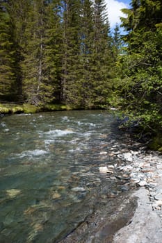 Out in the Norwegian wilderness