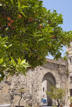 The" Porta Sant'Agata" was founded in the Norman period and the name comes from the nearby Church of St. Agatha La Pedata.Palermo, Sicily