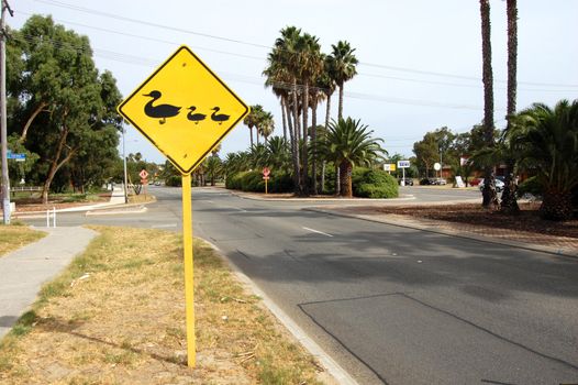 Road near city center, Perth, Western Australia