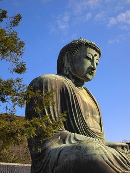 Daibutsu or the Giant buudha statue in Kamakura city, Japan
