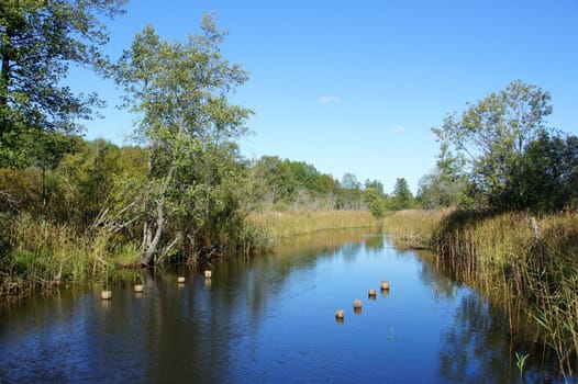 River  on a background of the blue sky