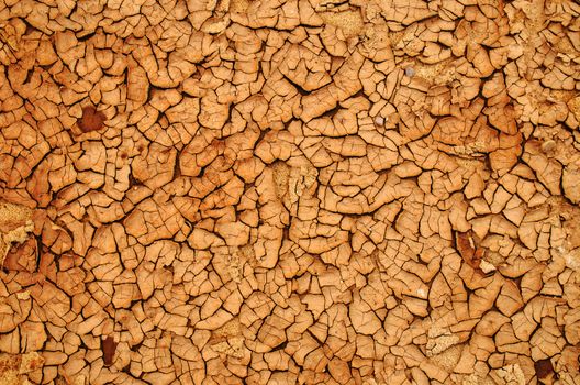 Background of dry ground earth resolved after rain.