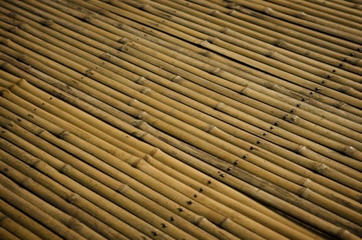 detail of bamboo surface